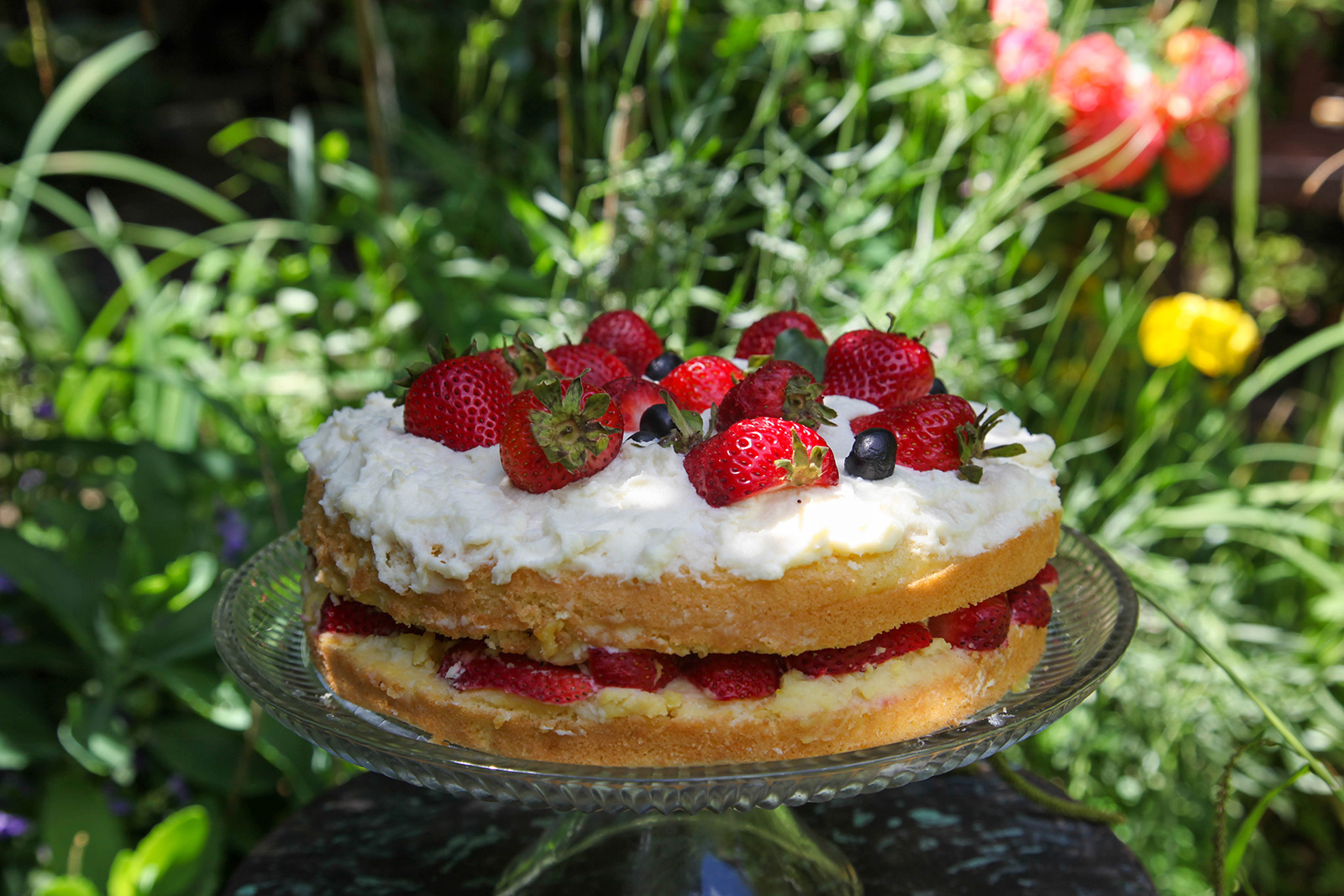 Strawberry Cake with Chantilly Cream, in the garden ready to serve