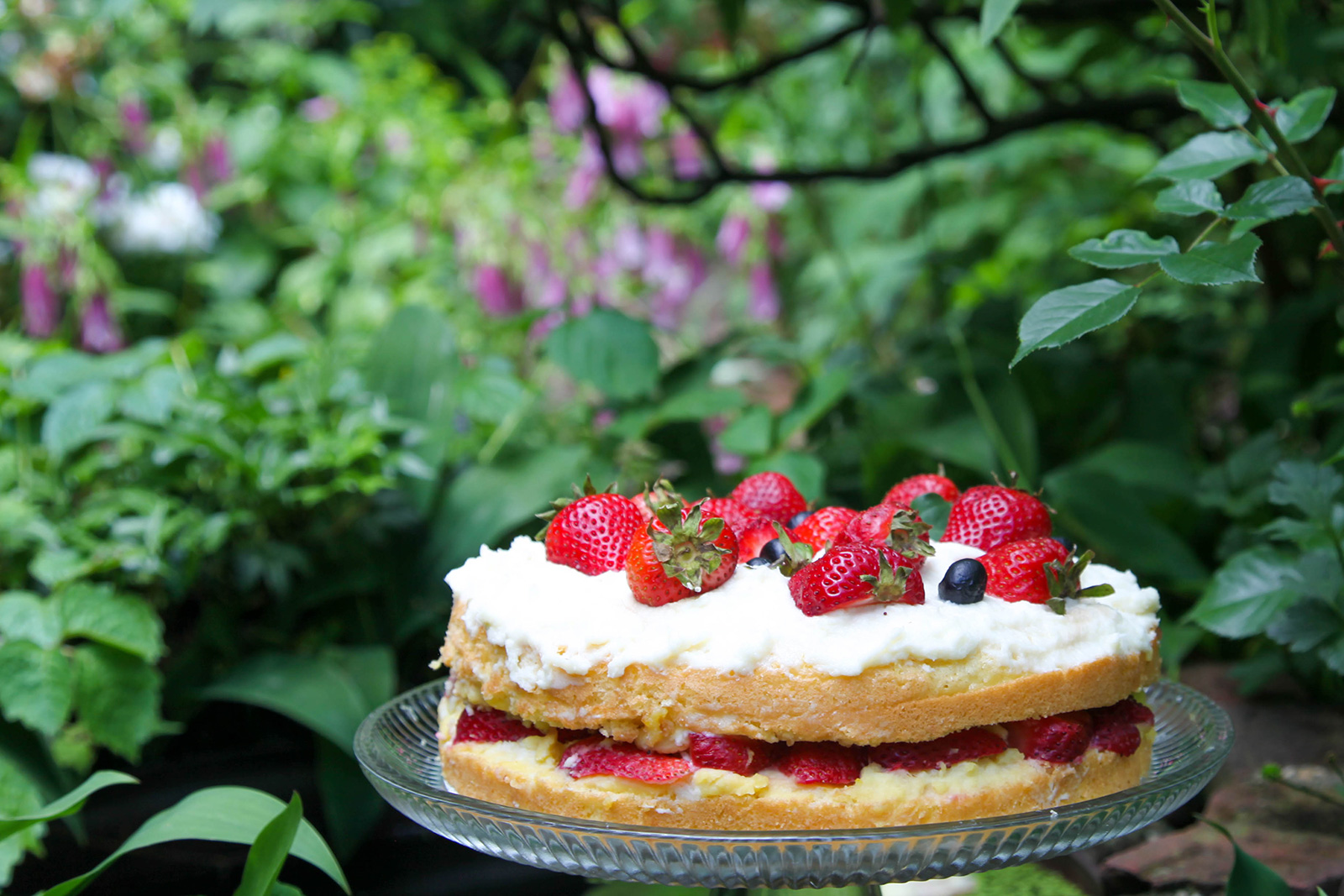 Strawberry Cake with Chantilly Cream in garden, ready to serve