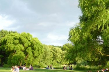 Picnicking in NYC