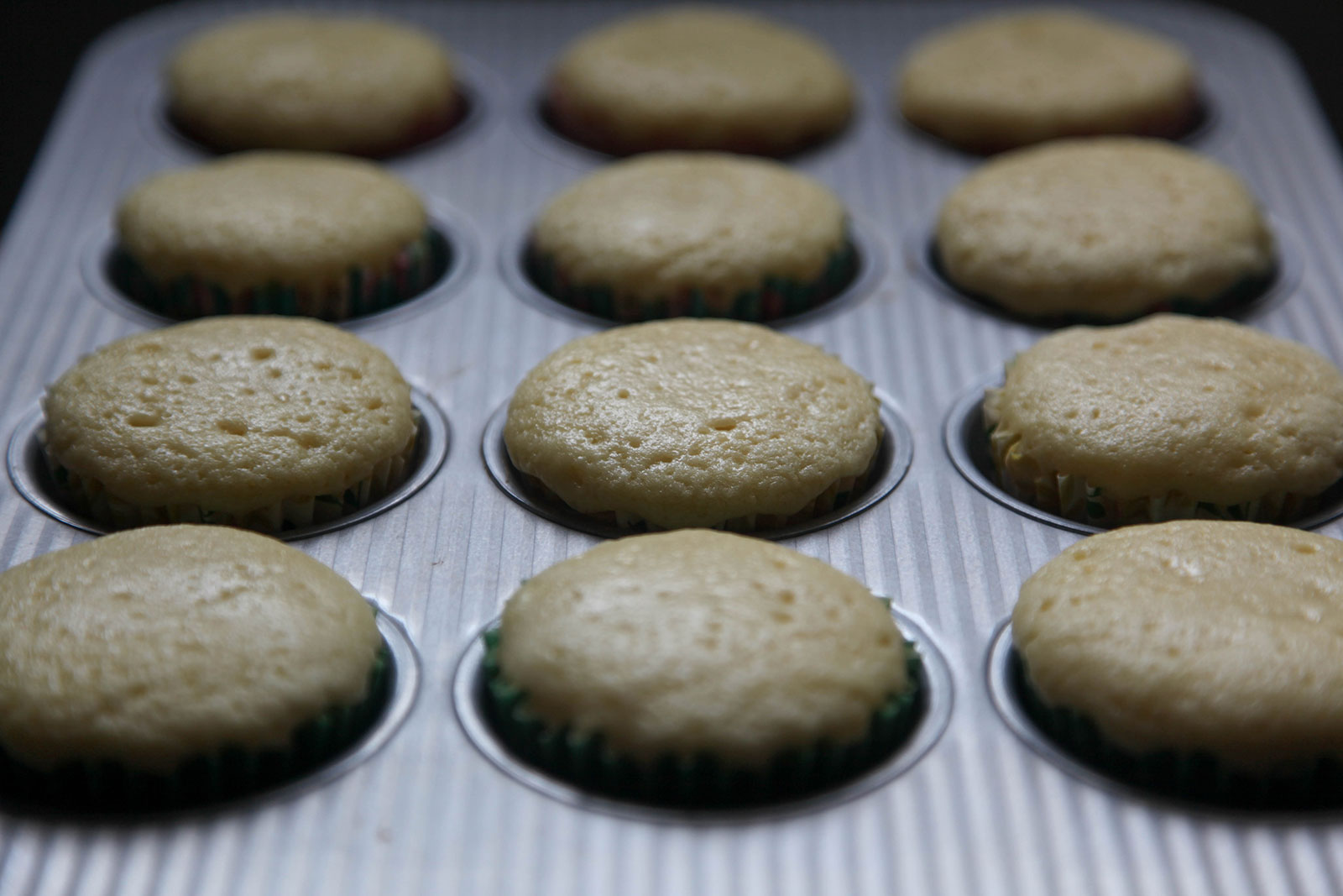 Moist fluffy cupcakes just out of oven, resting in baking pan