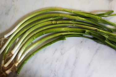 A bunch of young green garlic: the white bulbs are almost the same width as the green stems which are slender and the green stalks have not started separating, they form one long vertical piece. These are more delicate in taste and texture than more green garlic.