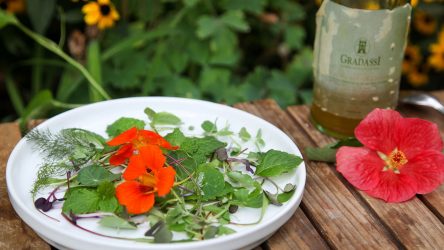 Harvest Salad of Herbs, Greens & Edible Flowers