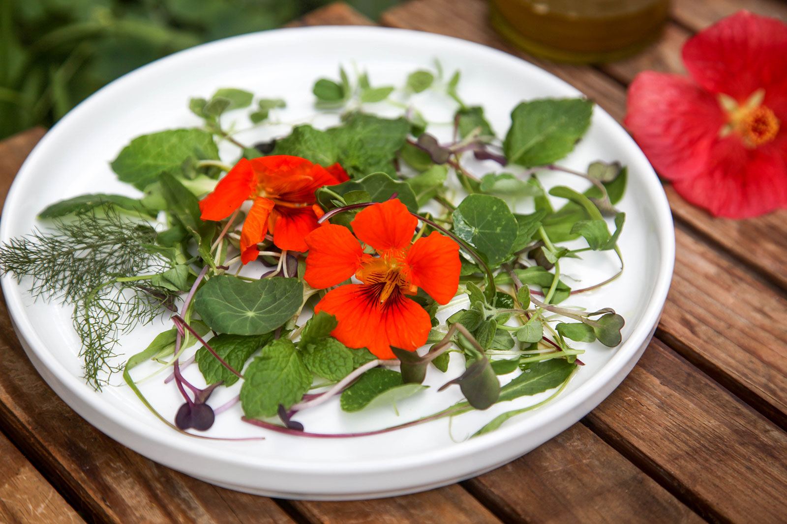 Harvest Salad of Herbs, Greens & Edible Flowers