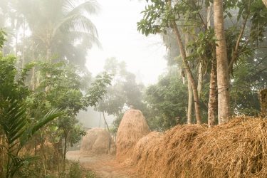 village in Sylhet, Bangladesh