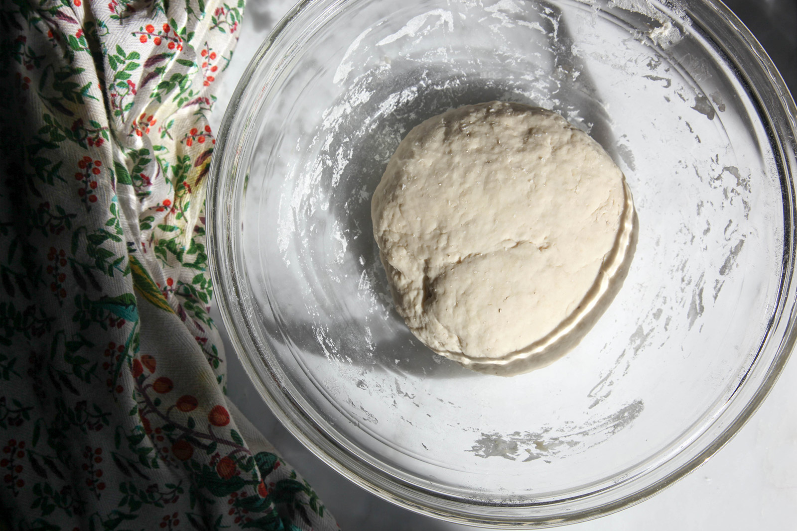 dough before it rises
