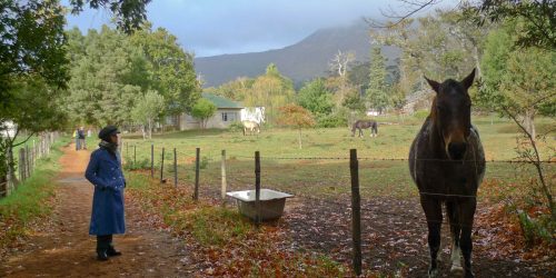 my mom in Tokai, near Cape Town